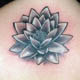MKL TATTOO STUDIO