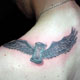 MKL TATTOO STUDIO